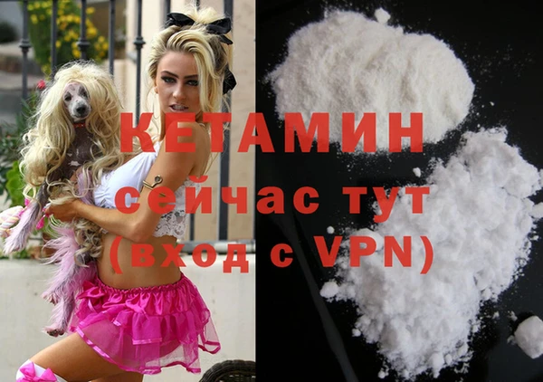 стафф Арсеньев
