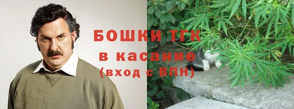 стафф Арсеньев
