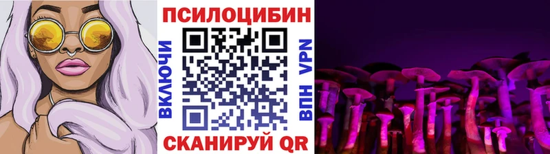 Псилоцибиновые грибы ЛСД Судогда