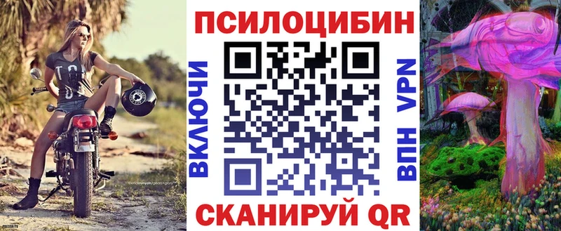 это какой сайт  где найти наркотики  ссылка на мегу вход  Судогда  Галлюциногенные грибы Psilocybe 